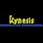Kynesis S.r.l.