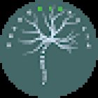 Osteobiopatia di Francesco Arias