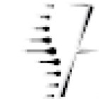 Osteopata Cisternino - Vincenzo Zurlo