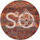S2O