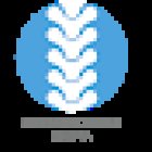 Osteopata Stefano D'Angelo D. O. m R. O. I.