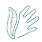 Giovanni Bertagnoli Osteopata - Osteopata Pediatrico