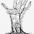 Davide Contro Osteopata D.O. Osteopata Pediatrico