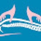 Osteopata Piacenza D.O. Miriam Vetrucci