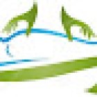 STUDIO DI OSTEOPATIA - D.O. Debora Moschillo