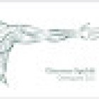 Osteopata Giacomo Sgubbi