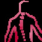 Studio Osteopatico Gessica Pezzutti DO BSc Ost (Hons) UK