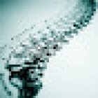 Osteopata D.O. - M.Sc. Ost. Alice Mazza