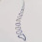 Michela Bressan Osteopata e Chinesiologo