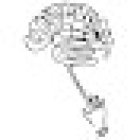 Studio Osteopatico - D.O. Rodigliano Gioele