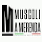 Luana Merenda Massoterapista Osteopata DSO