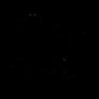 Osteopata Pietro Trobbiani D.O. Roi - Associati Fisiomed