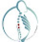 Dott. Marco Livi Osteopata