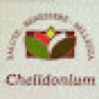 Chelidonium Srl