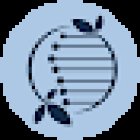 Cosimo Pacini Osteopata DO