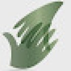 Studio di Osteopatia Bruni