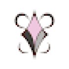 Beauty Concept by Jessica