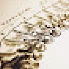 Chiropratica Caronti Studio AXIS