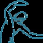 Chiropratica Dwight Life Balance System