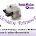 Hundesalon & Physiotherapie Goldene Fellnasen