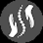 Your.Healthy.Concept - Therapie | Personal Training