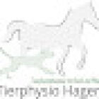 Tierphysio Hagen mit Unterwasserlaufband