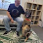 Grollius Osteopathie u. Chiropraktik für Pferde u. Hunde