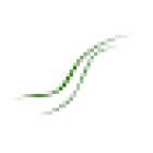 York Physiotherapy Associates