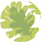 Oaktree Chiropractic & Acupuncture