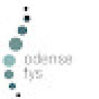 Odense Fys - Fysioterapi, massage, osteopatstuderende