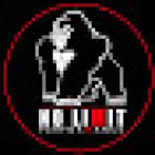 No Limit Performance