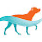 4 Point Physio - Veterinary Physiotherapy & Hydrotherapy dogs