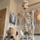 Longlevens Chiropractic & Sports Injury Clinic