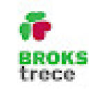 FISIOTERAPIA Y REHABILITACION BROKS TRECE