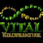 Vital Kiropraktikk Arendal