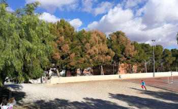 Ambiente Limpio