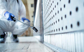 Control de plagas en Badajoz: Plagax