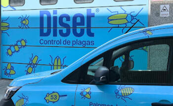 Diset Control Plagas Hospitalet | Control de Aves