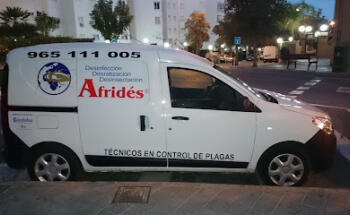 Afridés - Control de plagas Alicante
