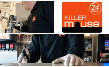 Killer Mouse - Control de plagas en Fuenlabrada, Madrid