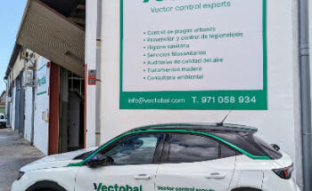 Vectobal