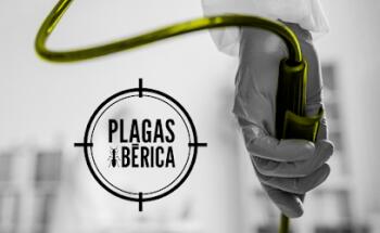 Plagas Ibérica