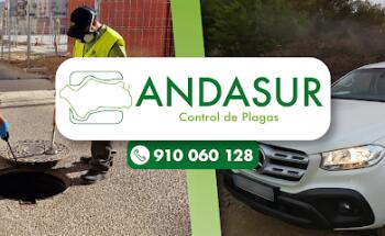 ANDASUR Control de Plagas