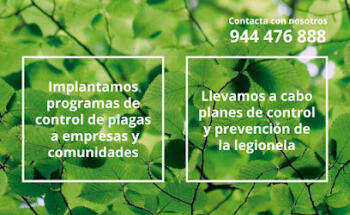 Control de Plagas de Termitas y Carcoma Sitehisa????????????????
