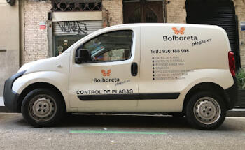 Bolboreta Plagas-Fumigación y Control de Plagas