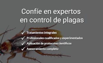 Denfor, epc, S.L.