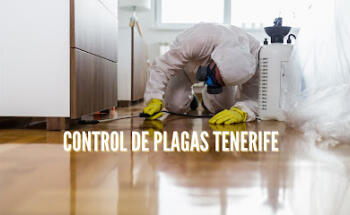 Controlcanarias.com