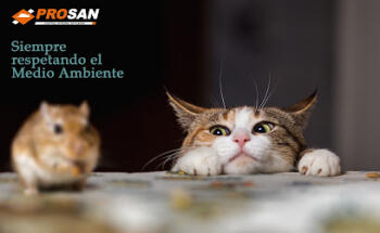 PROSAN Control de Plagas