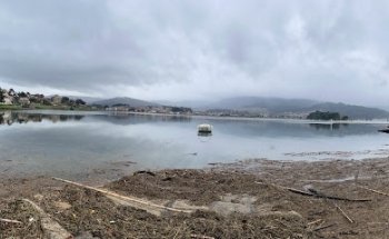 DANI ASEGURA ✅ ASESOR DE RIESGOS