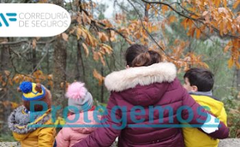 AMF, S.L. Correduría de Seguros